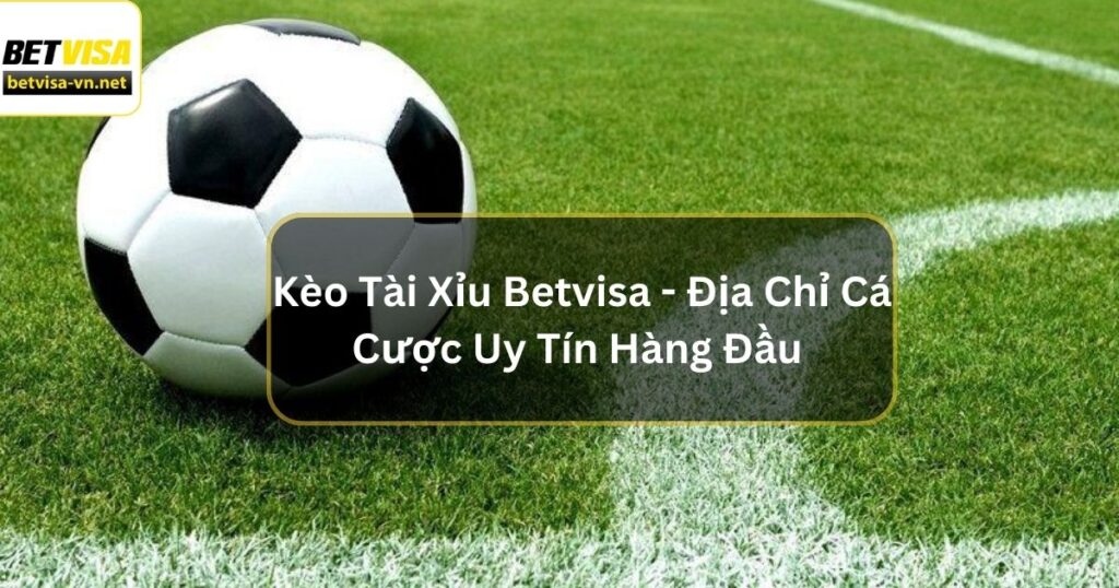 Kèo Tài Xỉu Betvisa - Địa Chỉ Cá Cược Uy Tín Hàng Đầu 